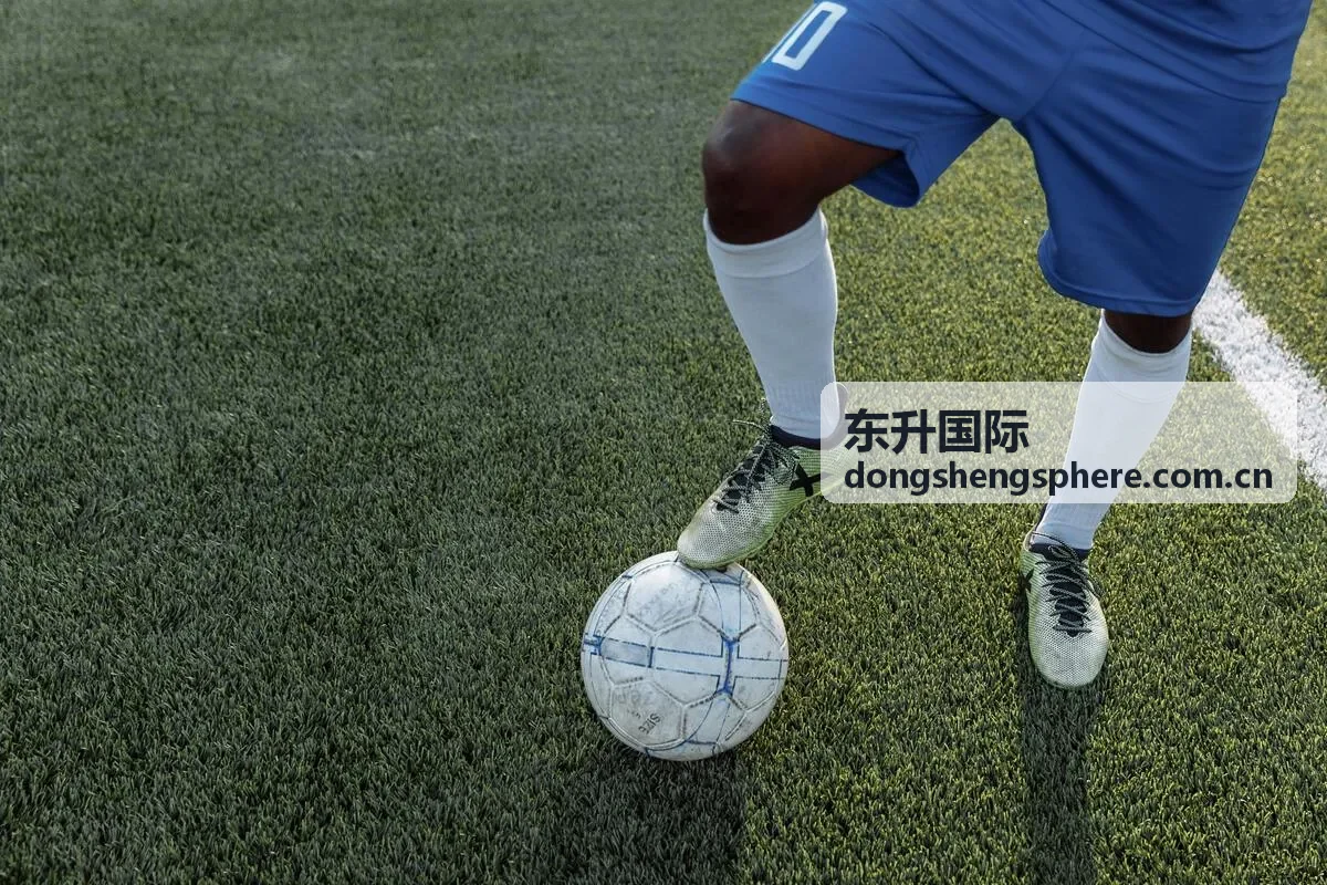东升国际异常反馈支持